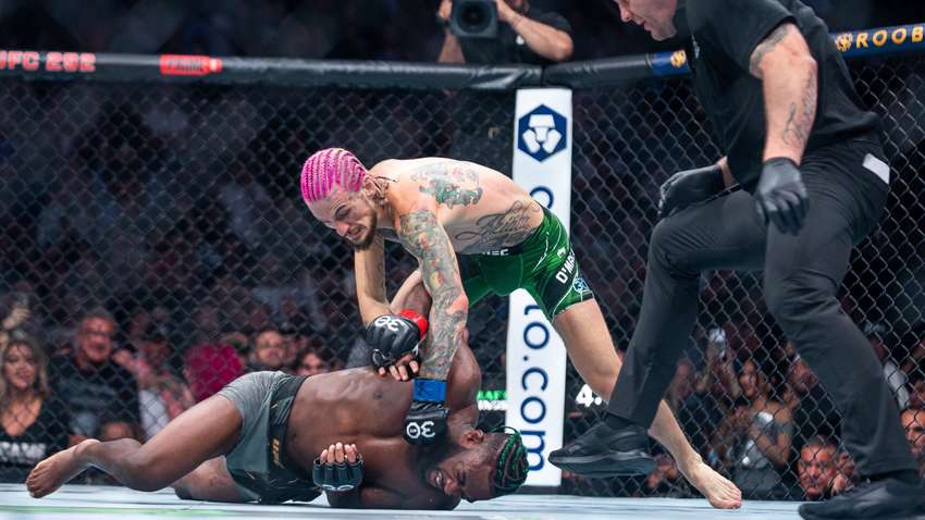 Дейна Вайт анонсував три титульні поєдинки UFC на початок 2024 року