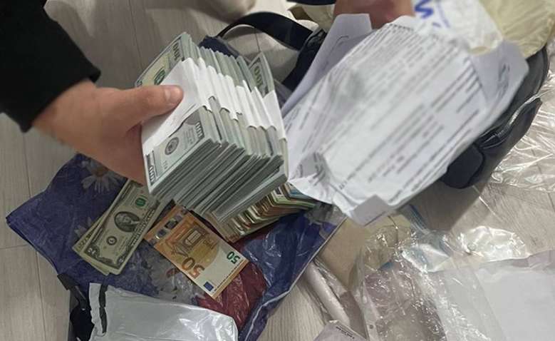 Во время обысков у врача с Житомира нашли 4,4 млн гривен: чем она занималась