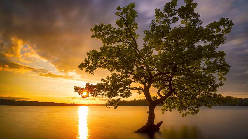 Синоптик розповіла, якою буде погода в Україні в останні дні липня