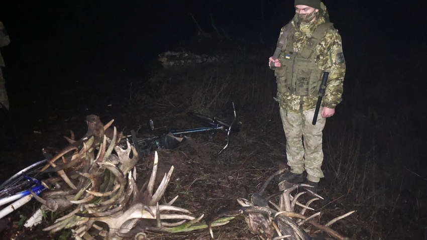 Наставили рога: пограничники задержали необычный груз в зоне отчуждения (ВИДЕО)