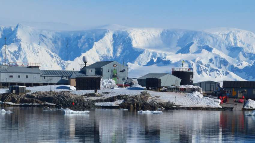 На украинской станции "Академик Вернадский" обнаружили неожиданного гостя (ФОТО) На украинской станции "Академик Вернадский" обнаружили неожиданного гостя (ФОТО)