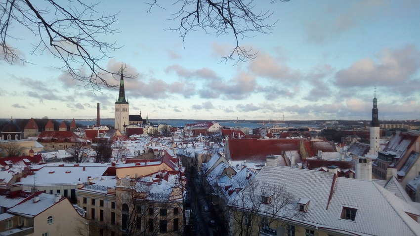 Бюджетно в Таллин: как попасть в рождественскую сказку за копейки