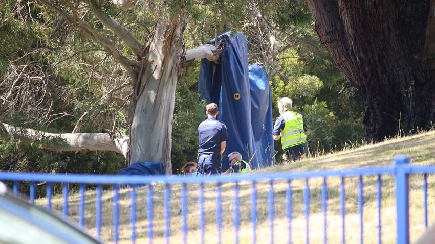 В Австралії загинуло кілька дітей, інші травмовані: що сталося
