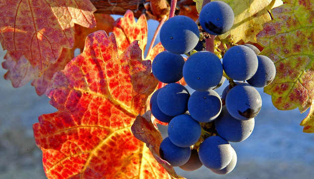 Останні теплі вихідні: синоптики розповіли, коли зміниться погода в Україні Останні теплі вихідні: синоптики розповіли, коли зміниться погода в Україні