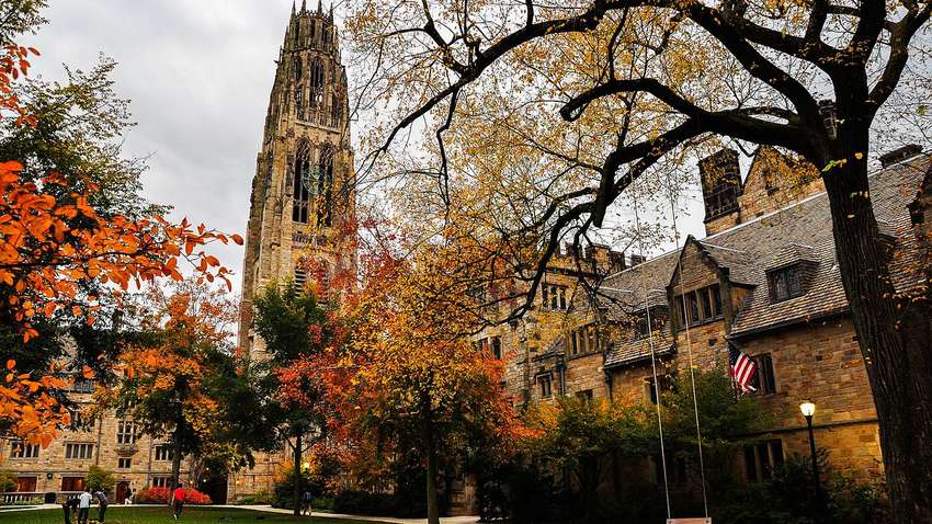 Йельский университет выложил самый популярный курс в открытый доступ