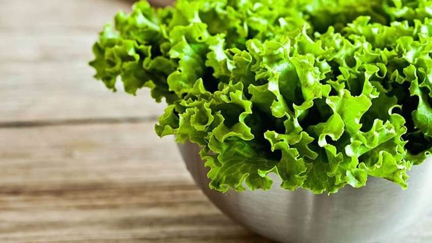 Какую угрозу здоровью несет листовой салат из магазина