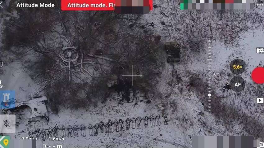 Мадяр показав відео із вбитими на Курщині північними корейцями