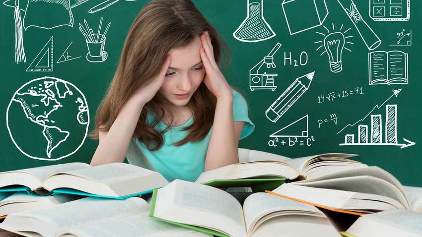 Простая школьная задача о столе, коте и черепахе, которую трудно решить взрослым