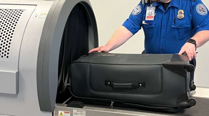 В Польше задержали украинца: таможенники обнаружили неожиданное существо в его багаже