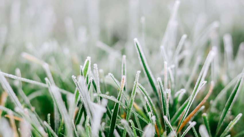 Синоптик спрогнозировала минусовую температуру в Украине: где ждать похолодания Синоптик спрогнозировала минусовую температуру в Украине: где ждать похолодания