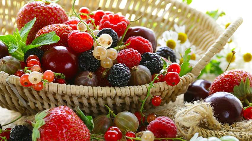 В правительстве установили новые правила производства экопродуктов