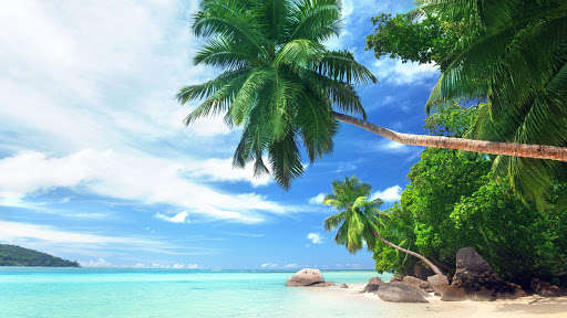 У кого із знаменитостей є особистий острів (ФОТО)