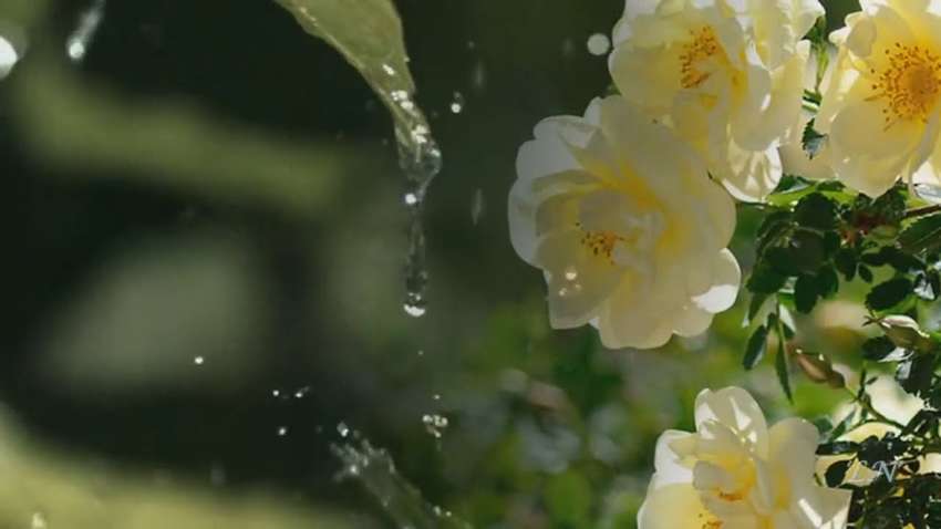 Якою буде погода в суботу, розповіли синоптики