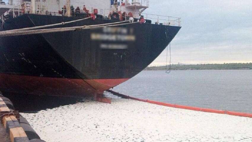 Судно у берегов Украины нарушило Международную конвенцию: что произошло (ФОТО)
