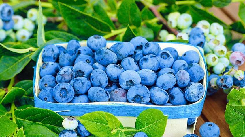 В Україні подорожчала популярна ягода В Україні подорожчала популярна ягода