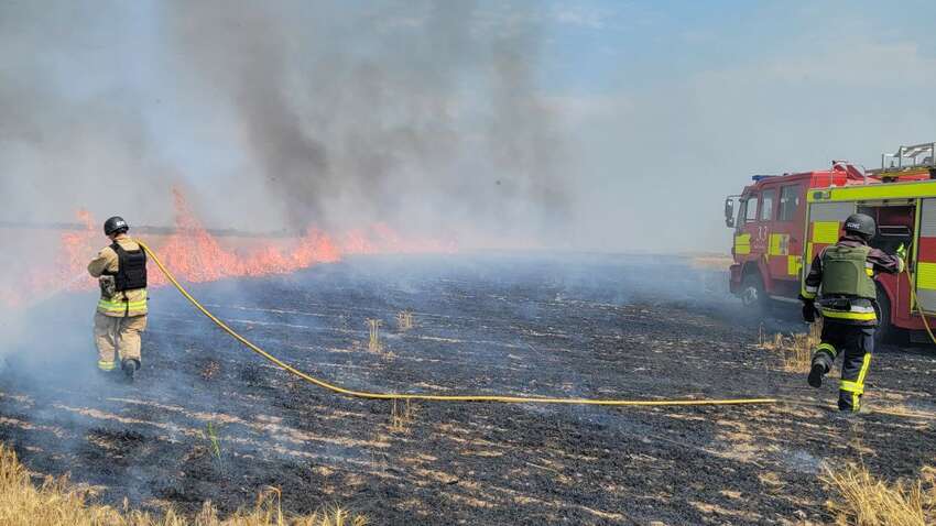 Окупанти почали знищувати врожай в Україні: що відомо