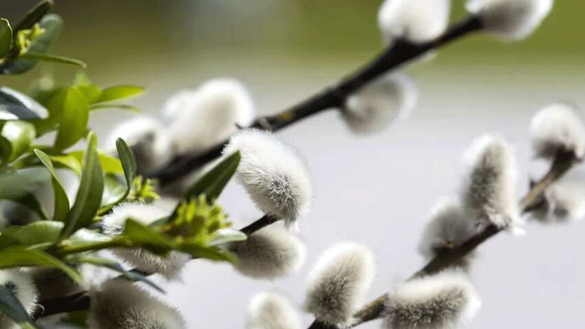 Скоро – почти лето: украинцев ошарашили будущими погодными метаморфозами