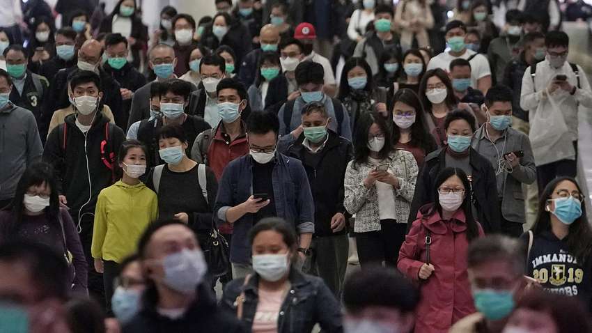 Вирусолог назвал самых опасных животных, которые могут спровоцировать новую пандемию Вирусолог назвал самых опасных животных, которые могут спровоцировать новую пандемию