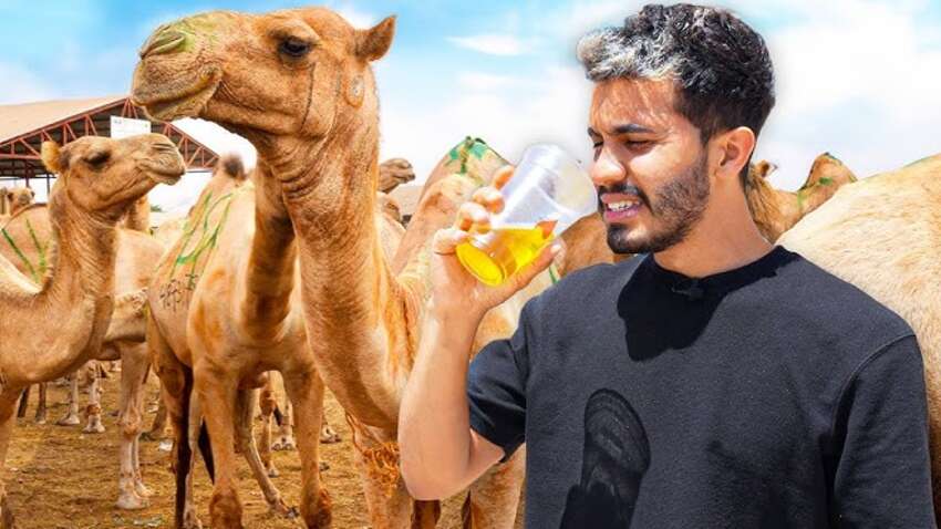 Пакистанець продавав у Росію власну сечу під виглядом "цілющої верблюжої"