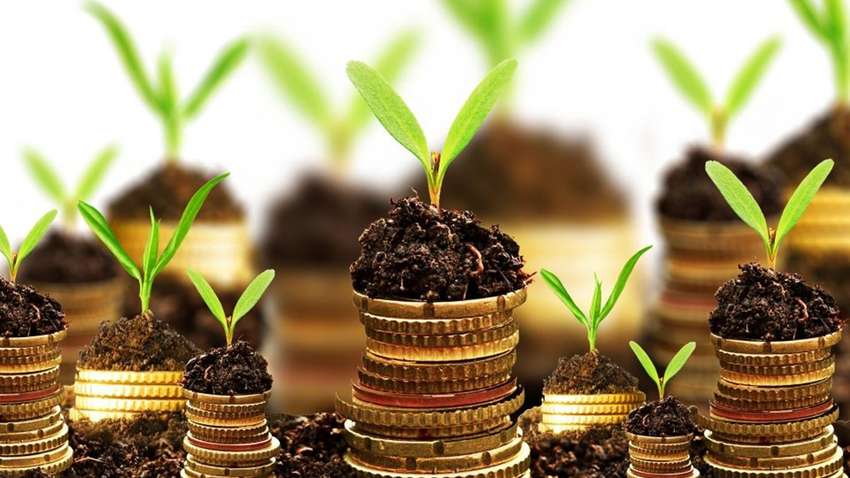 Появилась финальная версия земельного закона: подробности