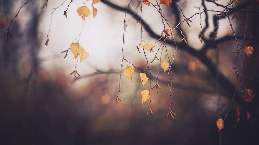 Синоптик порадувала українців прогнозом погоди на вихідні Синоптик порадувала українців прогнозом погоди на вихідні