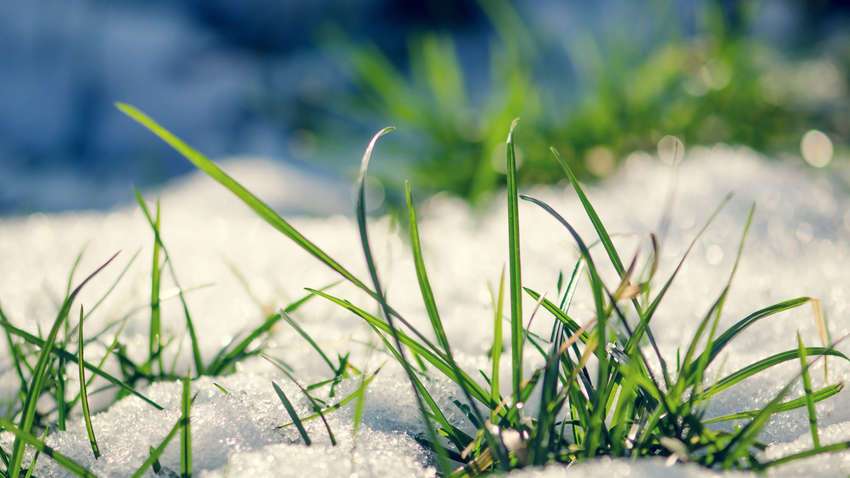 В Україну прийшла весна: якою буде погода сьогодні