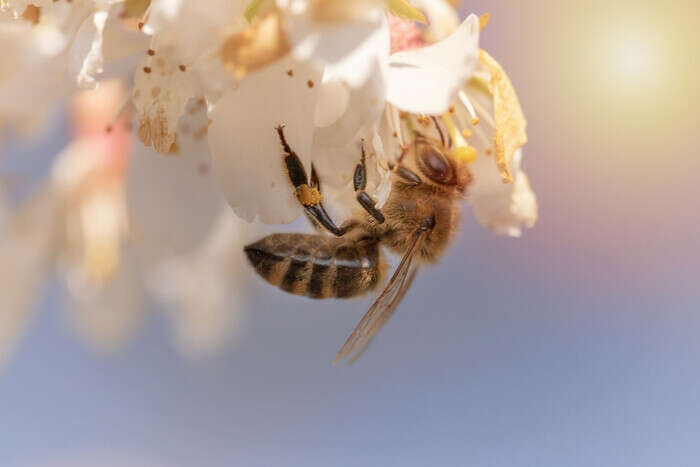 Традиции и приметы 28 апреля: на что сегодня стоит обратить особое внимание Традиции и приметы 28 апреля: на что сегодня стоит обратить особое внимание