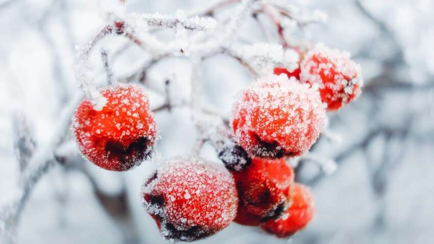 Церковный праздник 4 февраля: что нужно сделать, чтобы привлечь деньги в дом