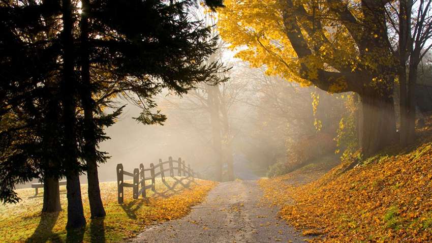 Какой сегодня будет погода, рассказали синоптики 