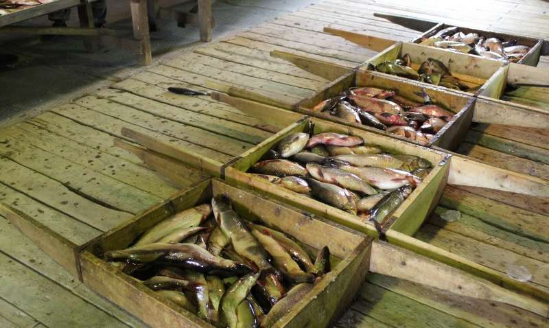 В упаковке морепродуктов из России китайские специализированные службы выявили коронавирус В упаковке морепродуктов из России китайские специализированные службы выявили коронавирус