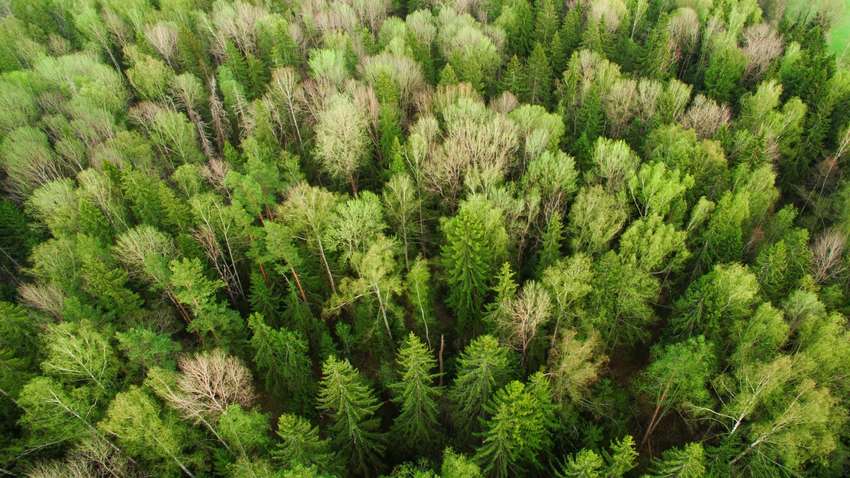 В ООН рассказали, что нужно сделать человечеству для отсрочки глобального потепления 