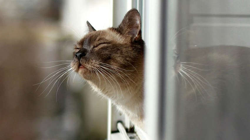 Погода в Украине: в каких регионах сегодня ждать "весну"