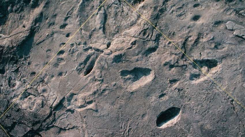 У Німеччині виявили найдавніші людські сліди, яким понад 300 тис років: вони належать предкам неандертальців 