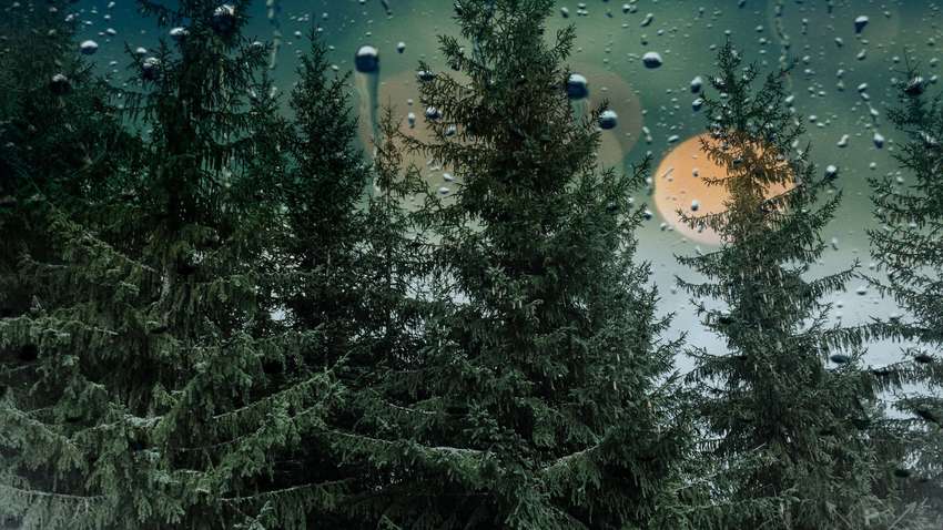  В Украине на выходных резко изменится погода: синоптики обновили прогноз