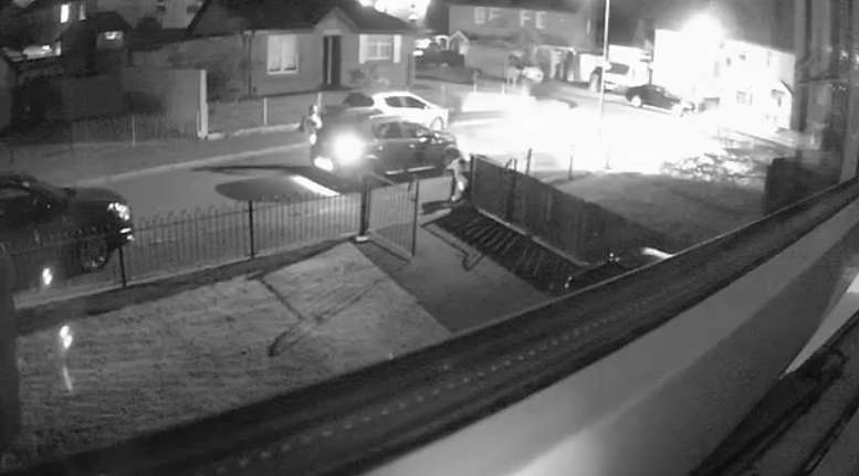 Кошка воскресла и пришла домой после собственной кремации Кошка воскресла и пришла домой после собственной кремации