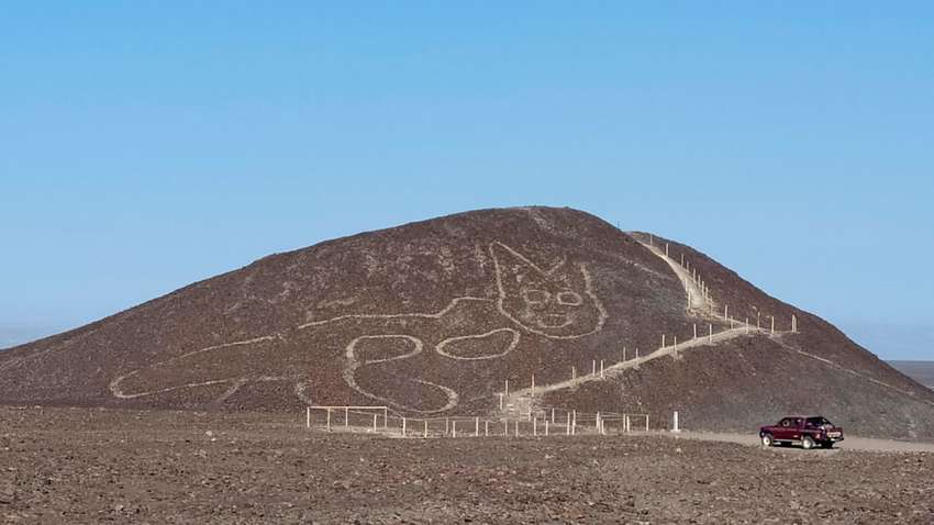 Археологи обнаружили в Перу изображение кошки возрастом в 2000 лет