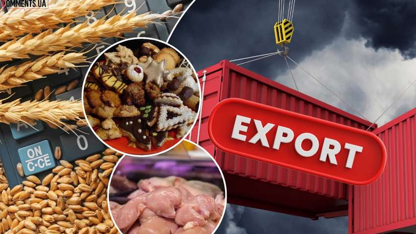 Украинский экспорт 2025: как страна, несмотря на третий год войны, наращивает поставки товаров за границу