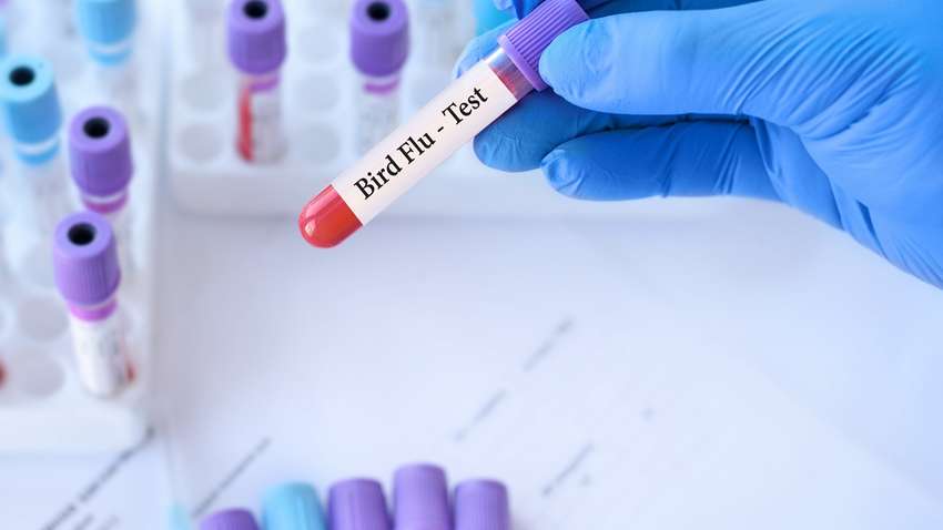 Опасный вирус вернулся в Украину: где ввели карантинные ограничения