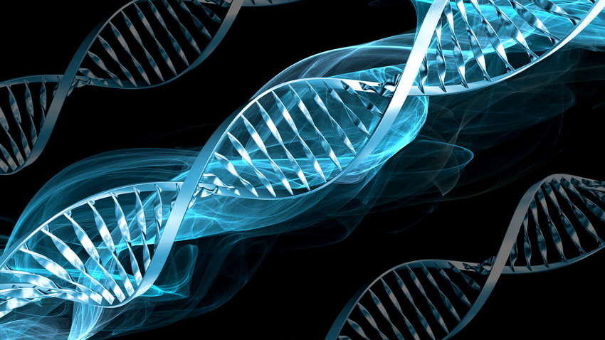 Генетики назвали факторы, которые влияют на ваши шансы умереть от COVID-19 Генетики назвали факторы, которые влияют на ваши шансы умереть от COVID-19