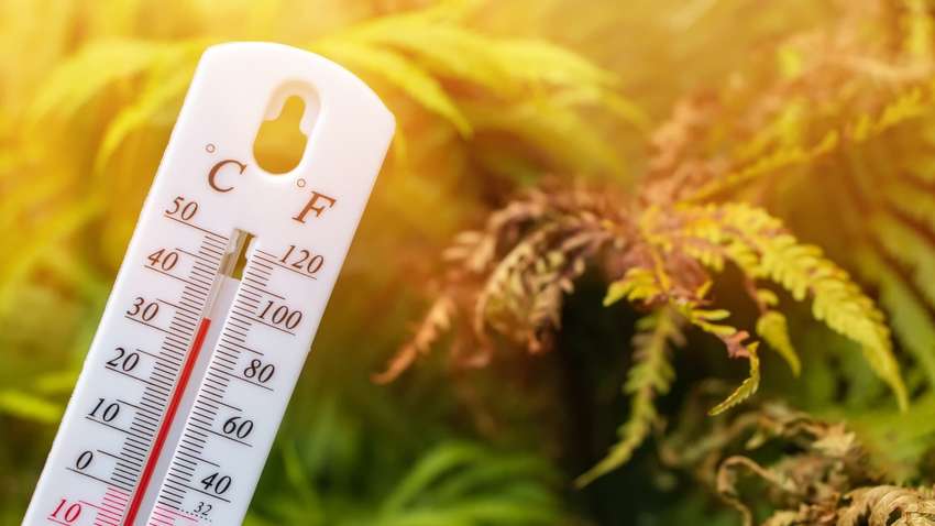 Спека в Україні битиме рекорди кожного року: що сталося з цією погодою Спека в Україні битиме рекорди кожного року: що сталося з цією погодою
