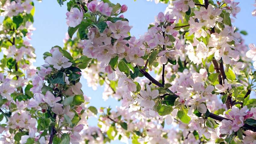 Синоптик попередила про нове похолодання у травні в Україні