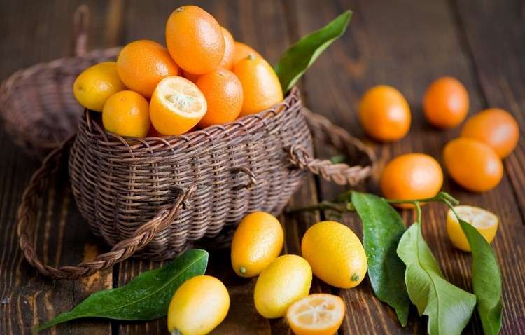 Названо найкращий фрукт для профілактики раку Названо найкращий фрукт для профілактики раку