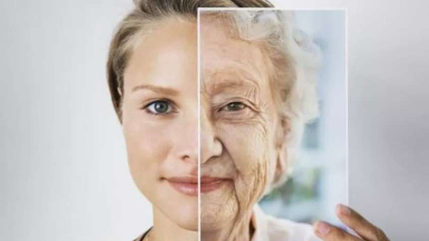 Три простые привычки за столом, которые помогут стареть медленнее