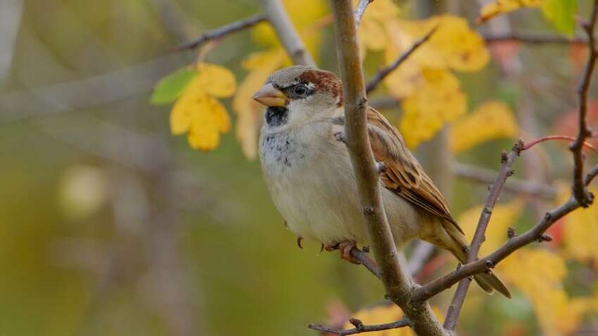 Какой церковный праздник 25 ноября: какие два особых запрета дня