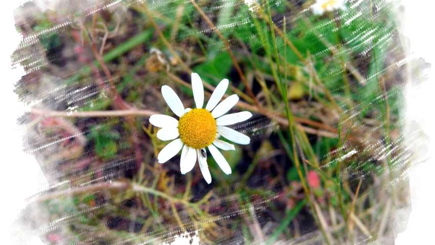 Прогноз погоди: в Україну йде різке похолодання