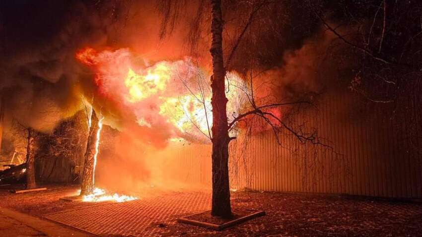 Осенью Украину ждет страшное нашествие: озвучен неоднозначный сценарий