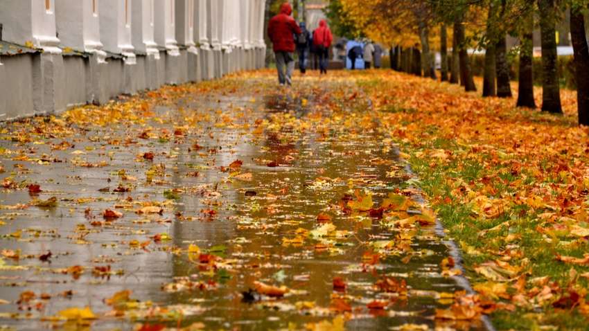 Синоптики рассказали, где в Украине будет лить дождь (карта) Синоптики рассказали, где в Украине будет лить дождь (карта)