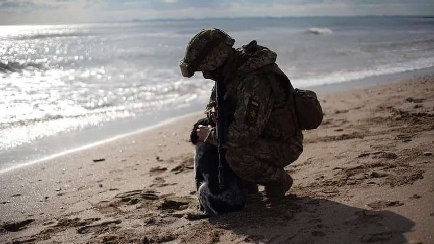 Война – 28-й день: хаоса и непредсказуемости больше нет – чего ждать ближайшим временем