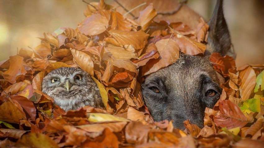 Невеликий мороз, хмарність, опади на заході країни: прогноз погоди в Україні на понеділок, 23 листопада Невеликий мороз, хмарність, опади на заході країни: прогноз погоди в Україні на понеділок, 23 листопада