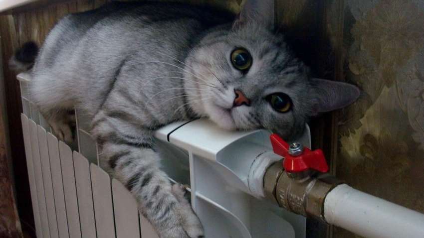 В Україні опалювальний сезон пройде без проблем, за винятком двох міст